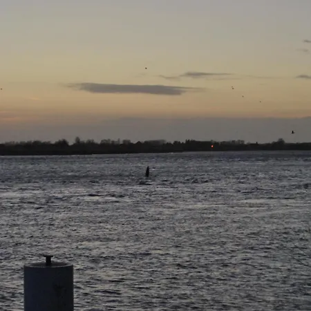 Отель Achilleon Iii 3*